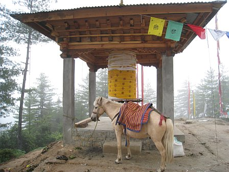 bhutan-horse-on-trail.bmp