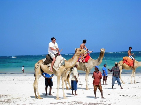 pictures of kenya animals. kenya-uncomfortable-on-camel.