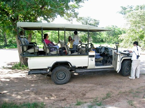 chobe-land-cruiser.bmp