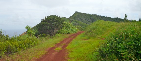 Pitcairn Island dirt road