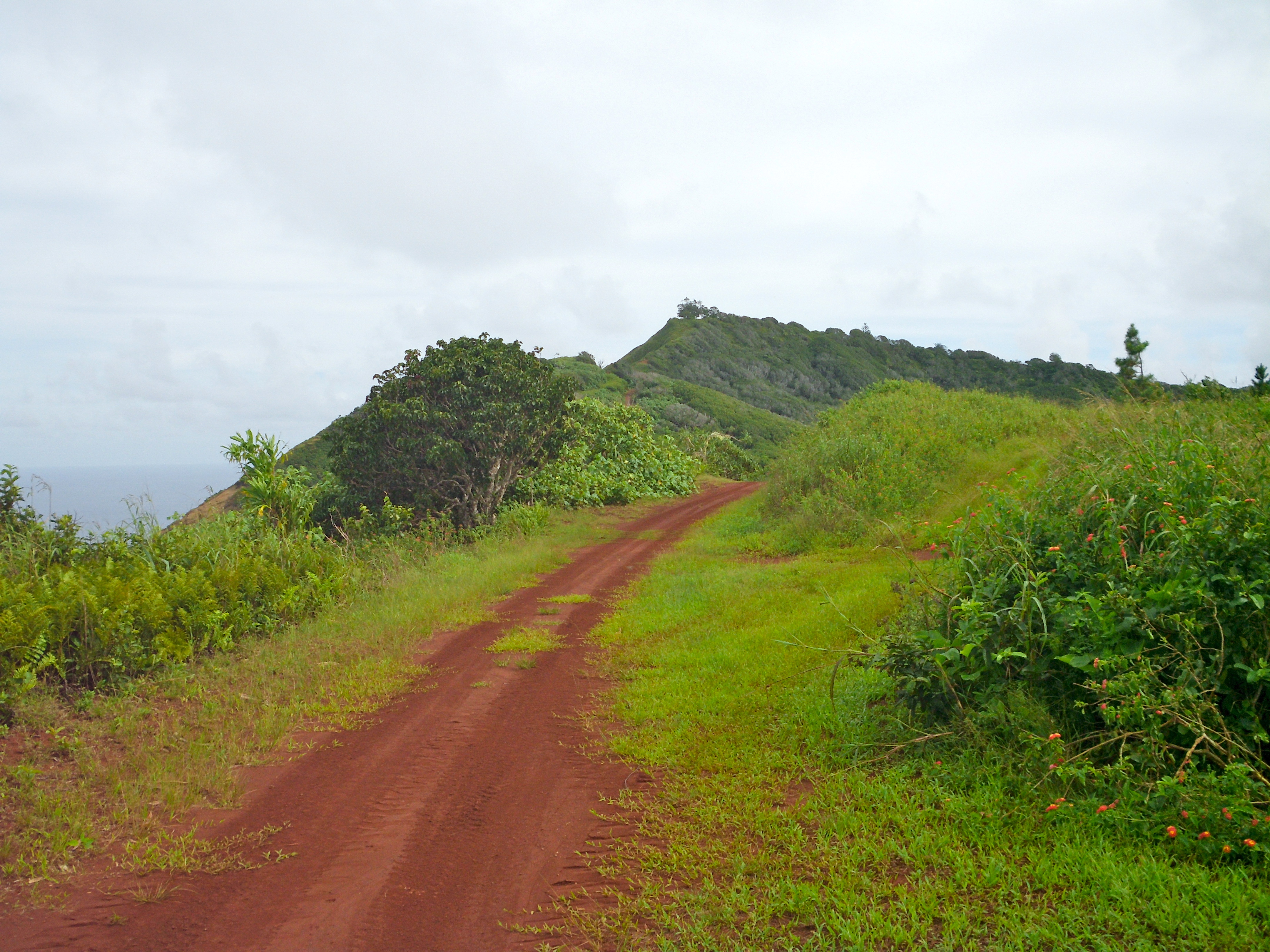 pitcairn island