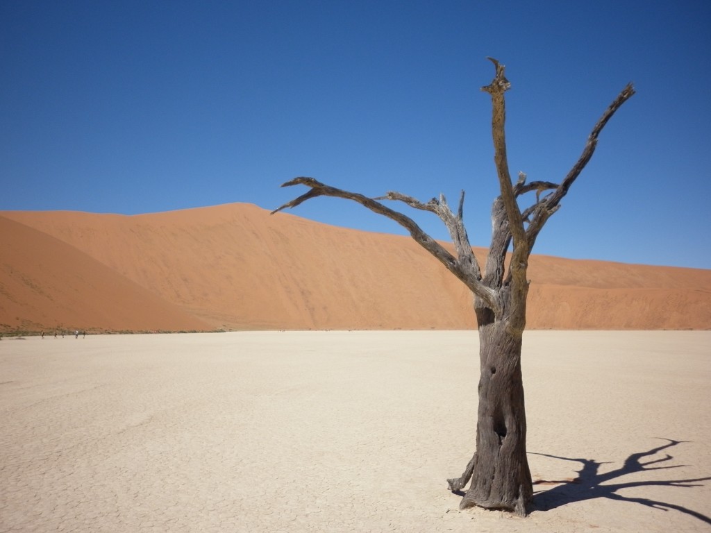 Deadvlei, Sossusvlei, Namibia, Africa, big daddy sand dune, scenery, travel