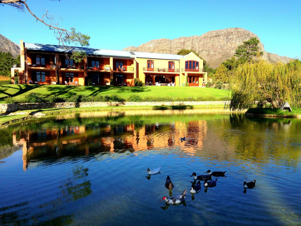 Franschhoek, vineyards, luxury, La Residence Hotel, view, mountains, South Africa, Western Cape, Cape Wine Lands, small town, Africa, duck pond