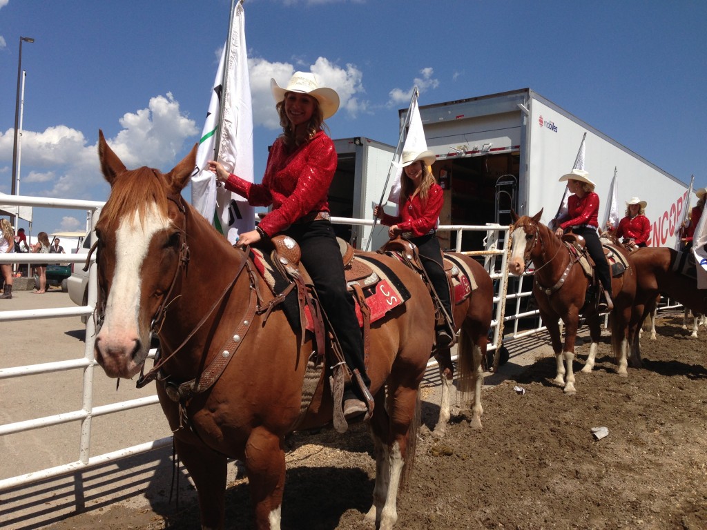 Calgary Stampede, rodeo, Chuck Wagon Racing, Alberta, Canada