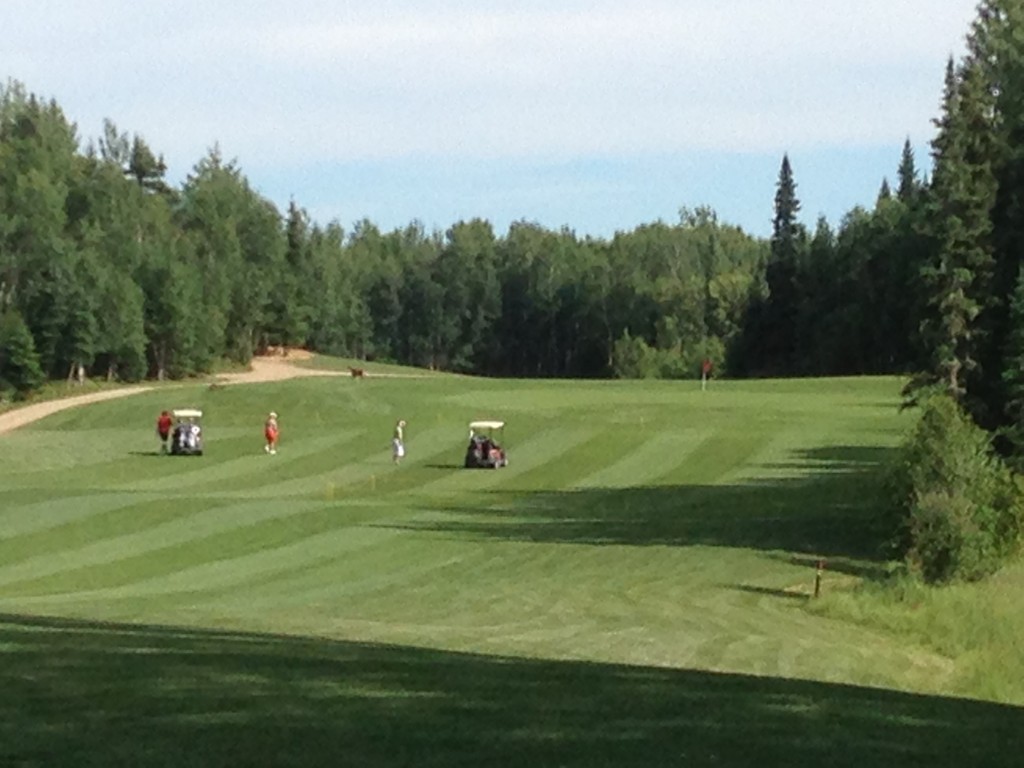 Waskesiu Golf Course, Elk Ridge Resort, Where to Play Golf in Saskatchewan, Golf in Saskatchewan, golf, Saskatchewan