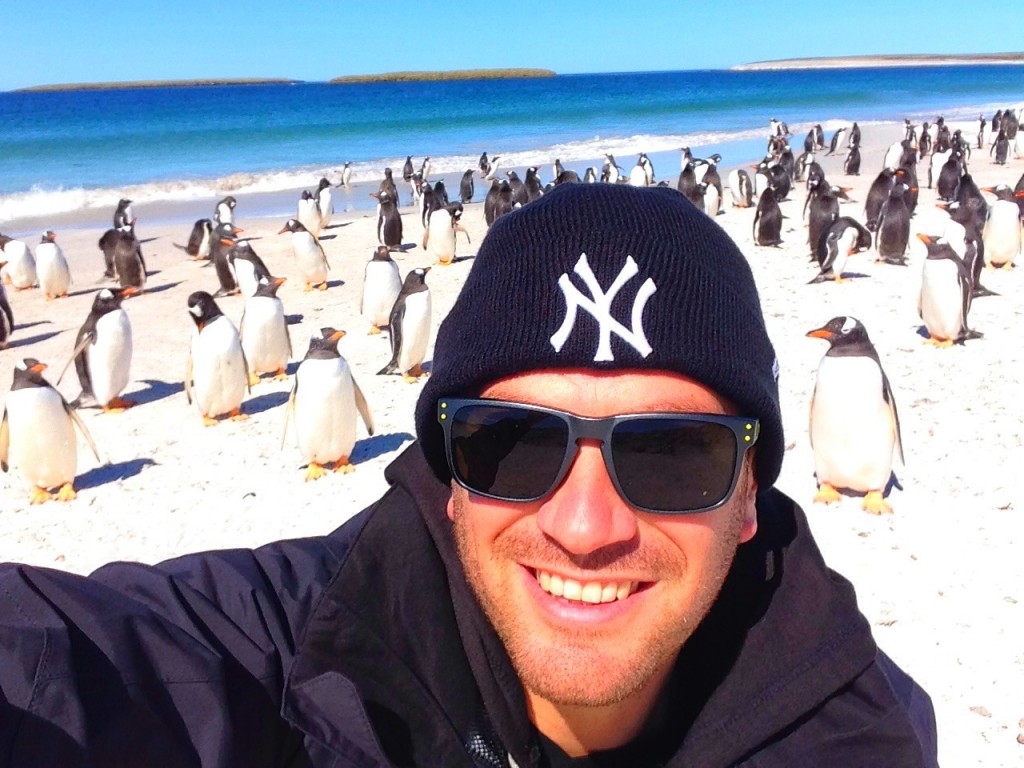 Bleaker Island, Falkland Islands, beach, penguins, gentoo penguins, Lee Abbamonte