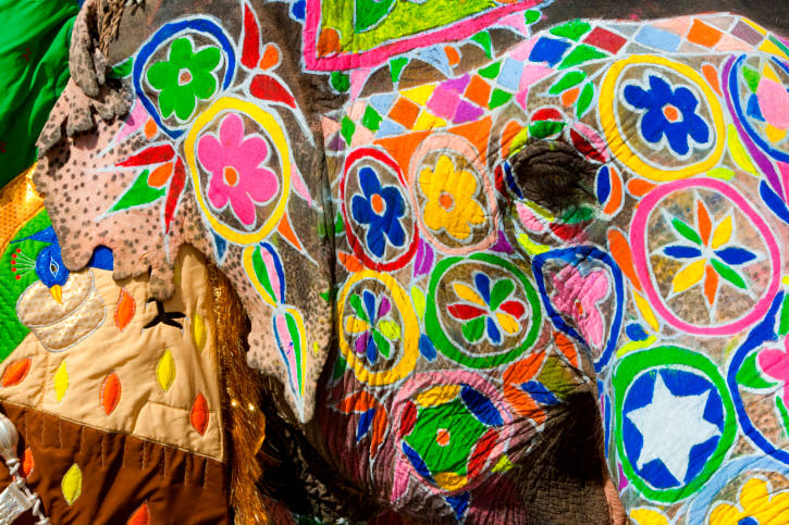 Painted elephants during Holi, the Hindu festival of colors, in Jaipur, India.