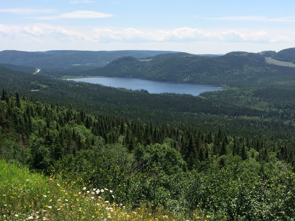 beautiful mountain lake, western newfoundland, Canada