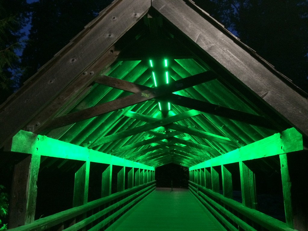 Whistler bridge at night