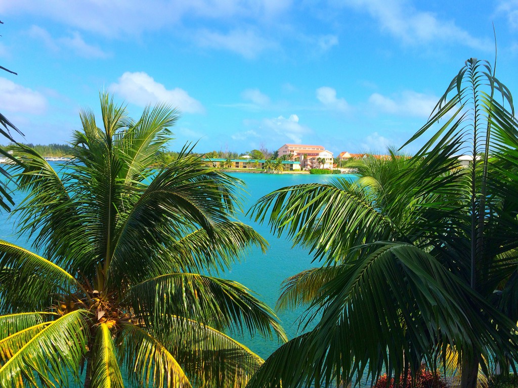 Grand Bahama Island, Pelican Bay Hotel, view