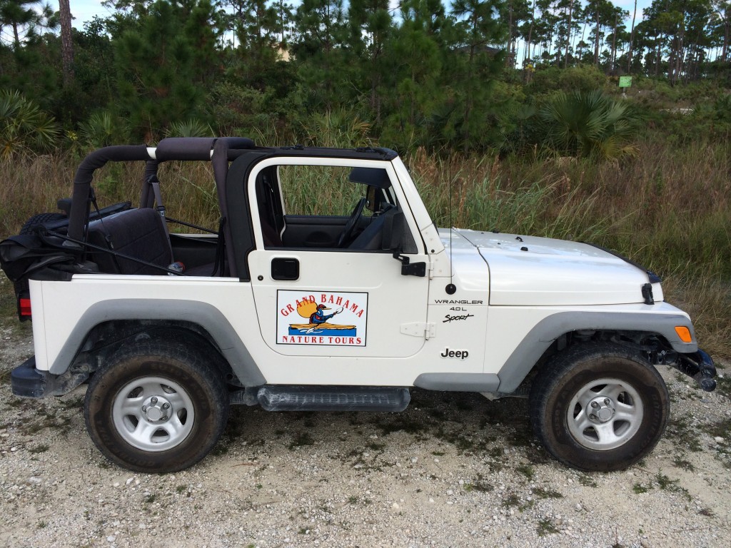 Jeep broken down, Grand Bahama Island