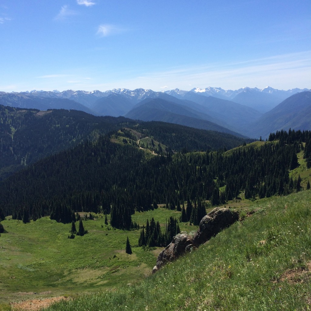 Hurricane Hill view, Olympic National Park