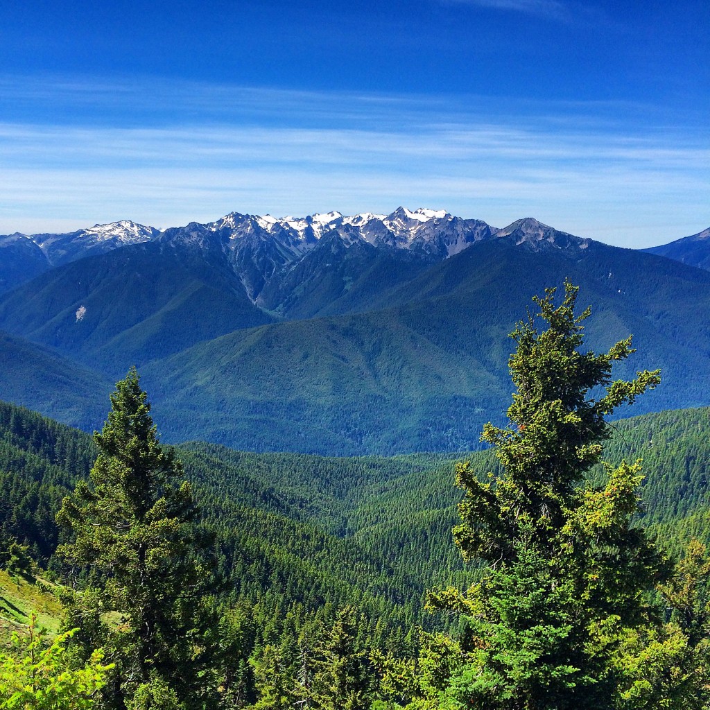 Mount Olympus view, Olympic National Park