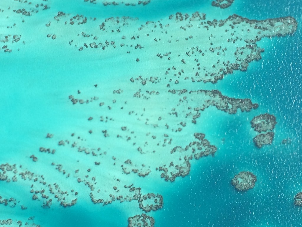 Bermuda, coral, scenic flight