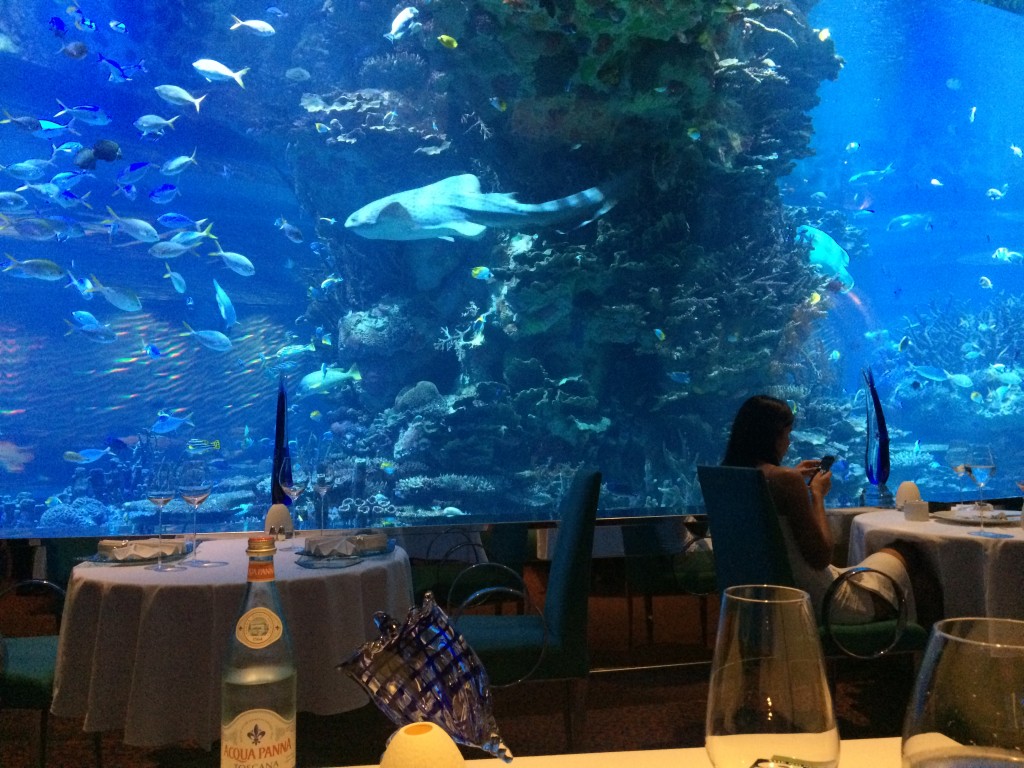 Al Mahara, fish tank, Jumeirah, Burj Al Arab, Dubai, UAE, United Arab Emirates