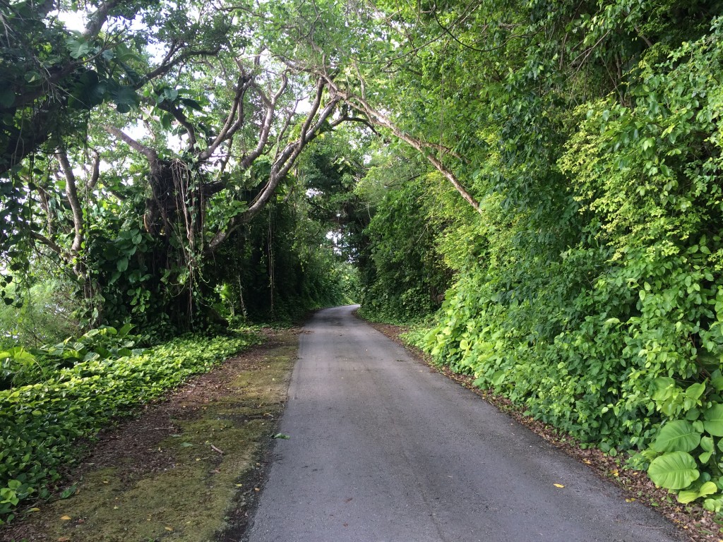 Rota, CNMI, Northern Mariana Islands, road