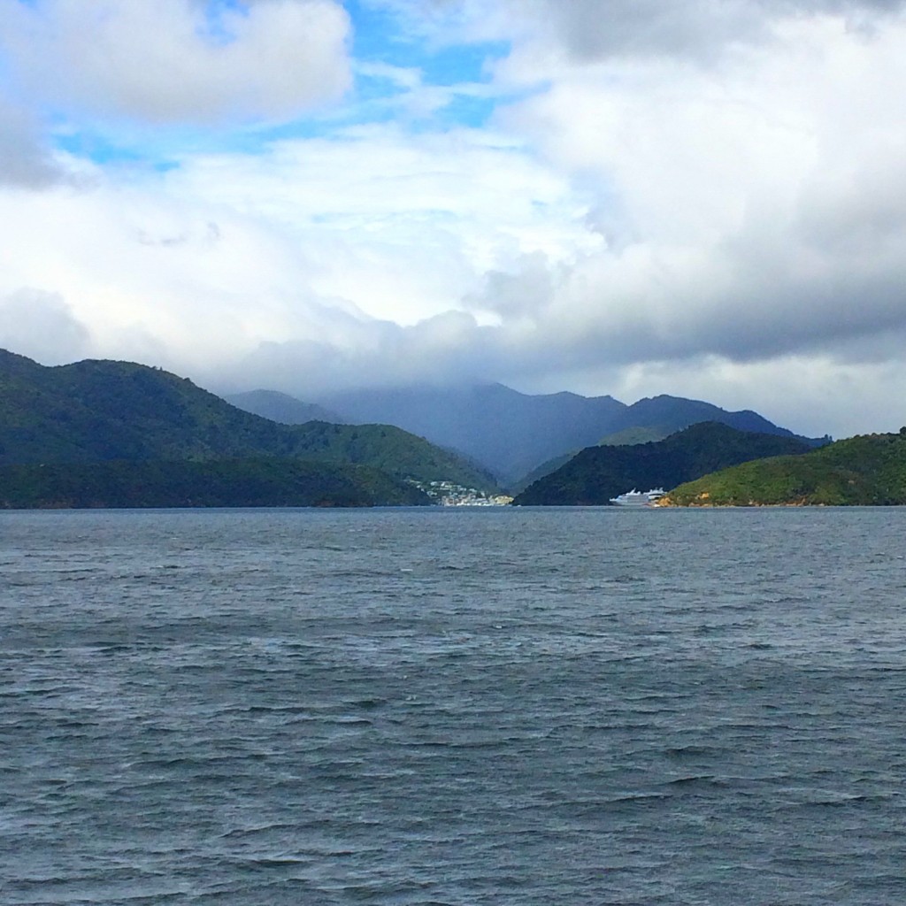 Picton, New Zealand, Queen Charlotte Sound, cruise