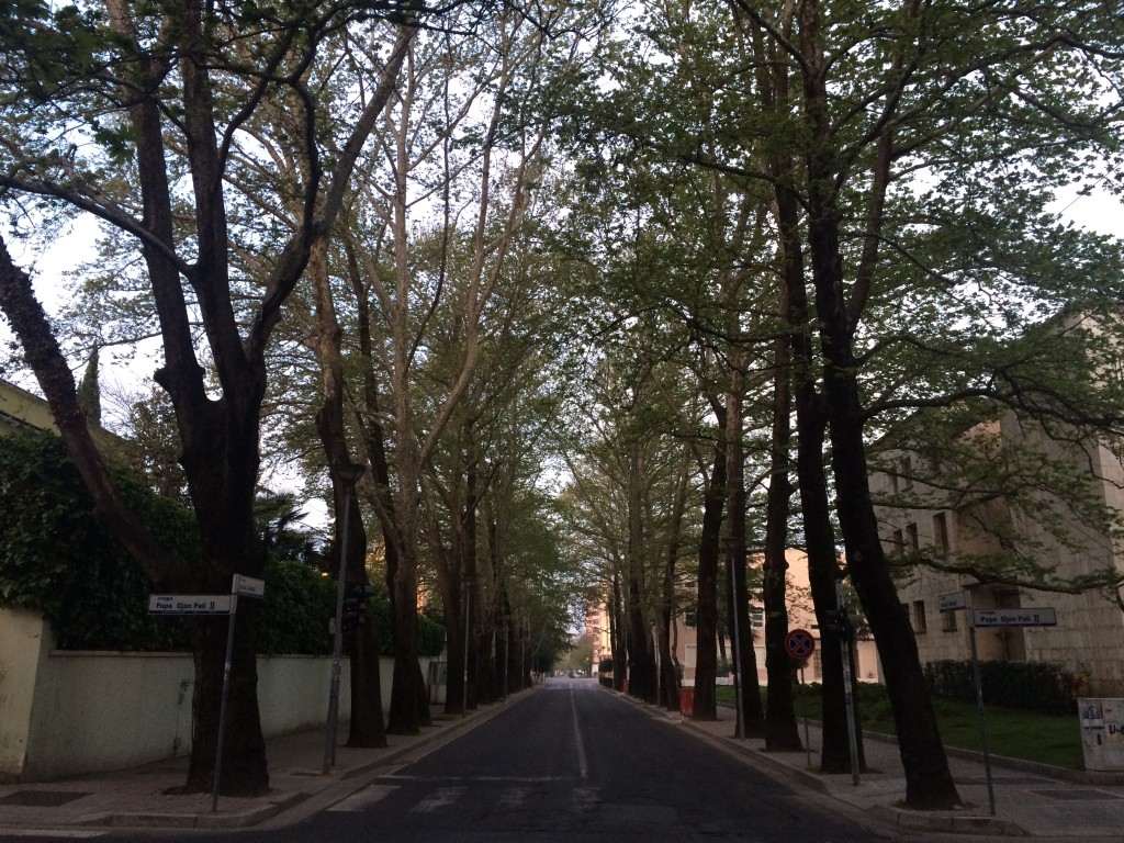 2 Days in Tirana, Albania, Tirana, Blloku, tree lined streets