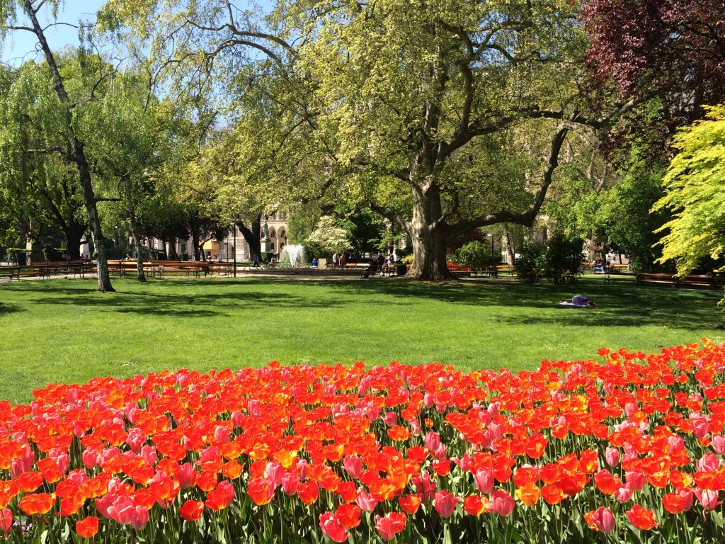 5 Awesome Things to do in Vienna, Austria, Vienna, Wien, flowers, park
