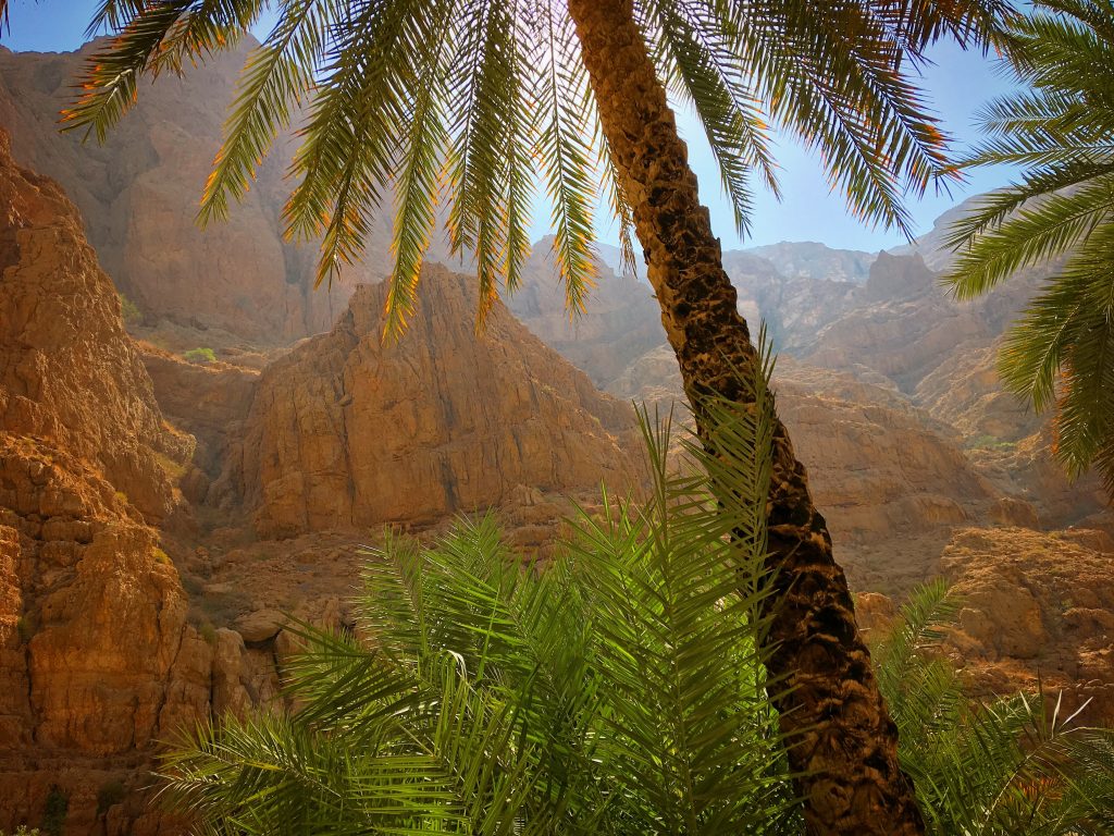 5 Awesome Things to do in Muscat, Oman, Muscat, Azamara, Middle East, Wadi Shab, Jurassic Park