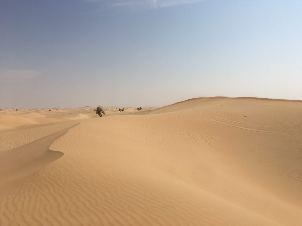 two things you must do in Abu Dhabi, Abu Dhabi, Emirates, United Arab Emirates, desert safari, 4x4, desert, safari, dunes