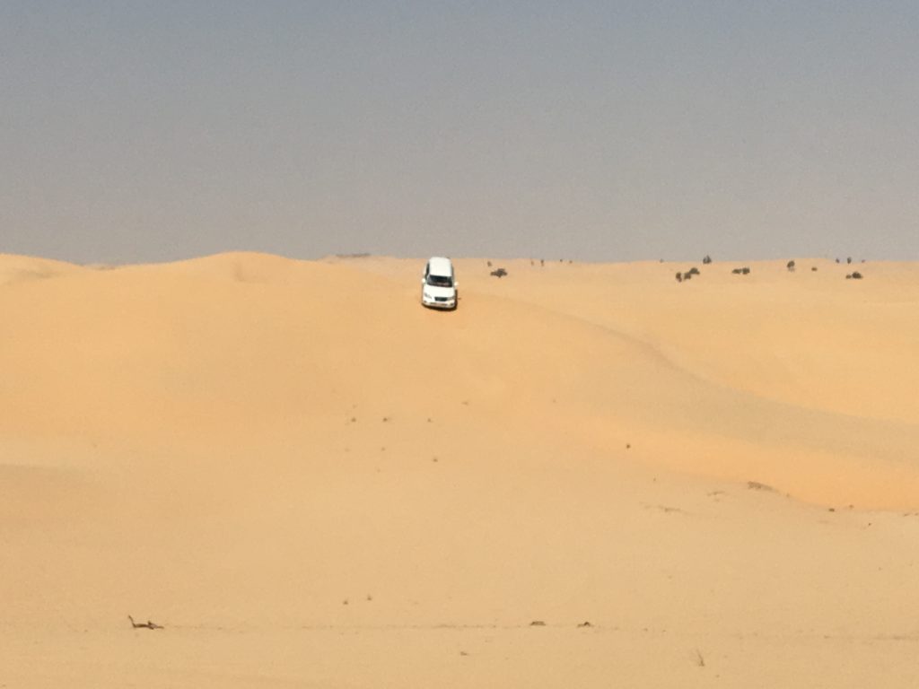 two things you must do in Abu Dhabi, Abu Dhabi, Emirates, United Arab Emirates, desert safari, 4x4, desert, safari