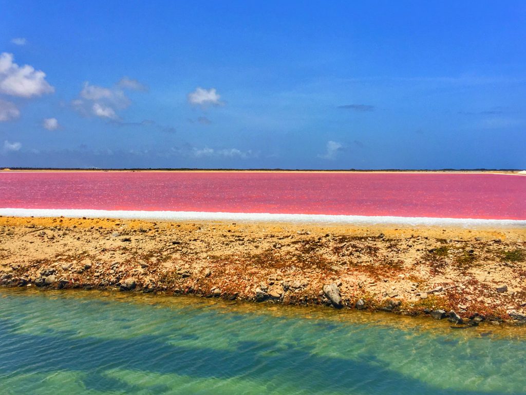 2 Days in Bonaire, Bonaire, Caribbean, salt flats, pink water