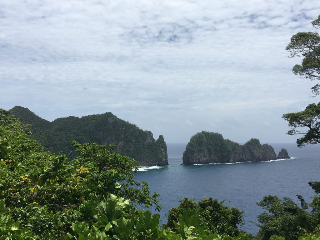 View of the Pinnacles in the National Park of American Samoa