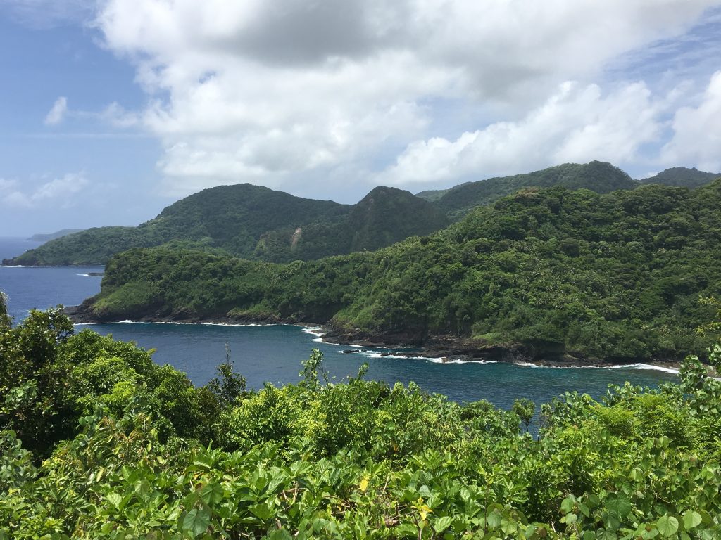 Viewpoint in the National Park of American Samoa