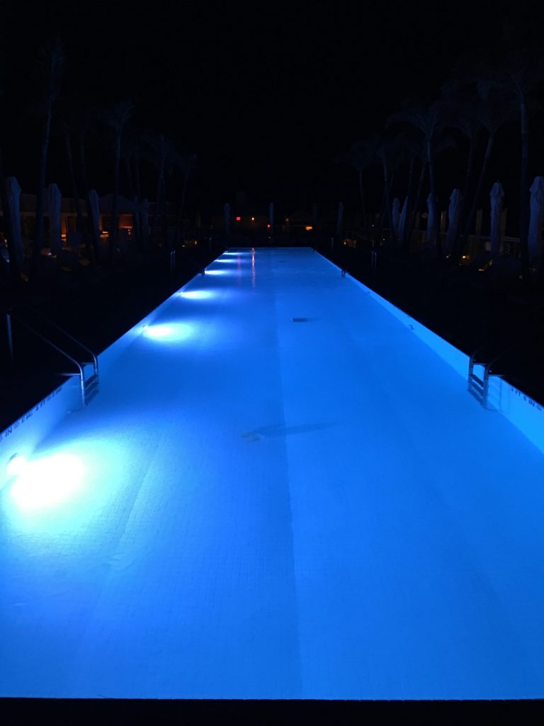Rooftop pool at 1 Hotel South Beach
