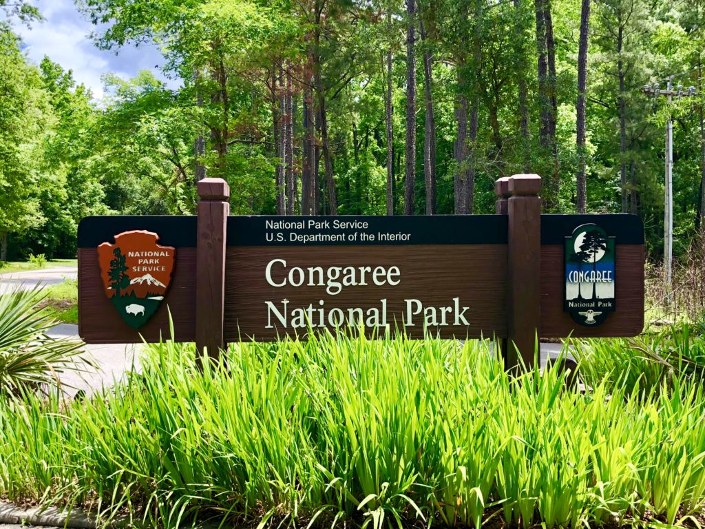 Congaree National Park is Whatever, Congaree National Park