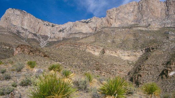 Desert scenery in Guadalupe Mountains National Park