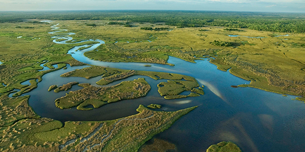 Everglades National park is unique