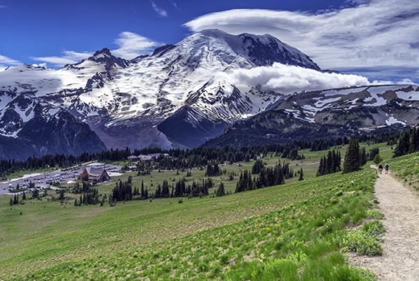 Gorgeous Mount Rainier National Park