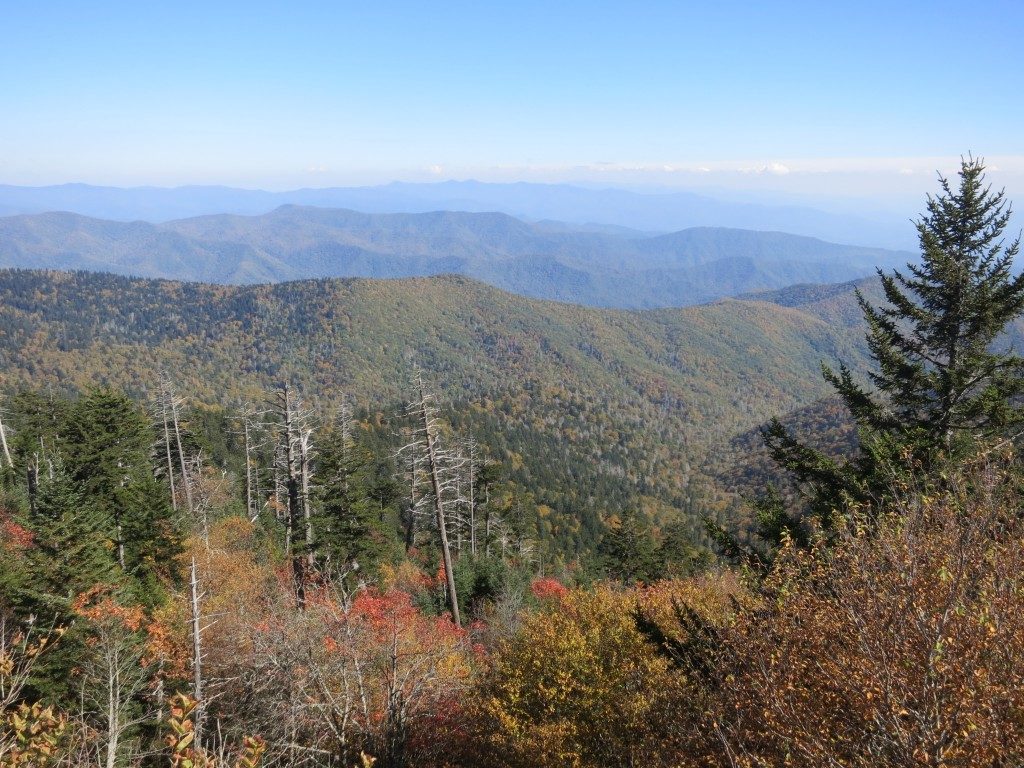Typical view in Smoky Mountains National Park