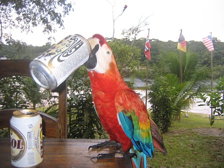 beer-bird.bmp
