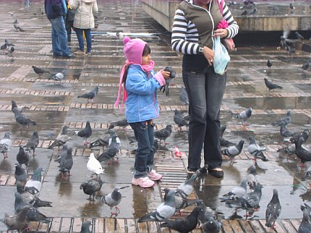girl-with-pigeon.bmp