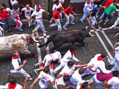 bull_run.bmp