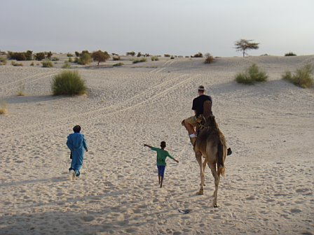 camel-timbuktu.bmp