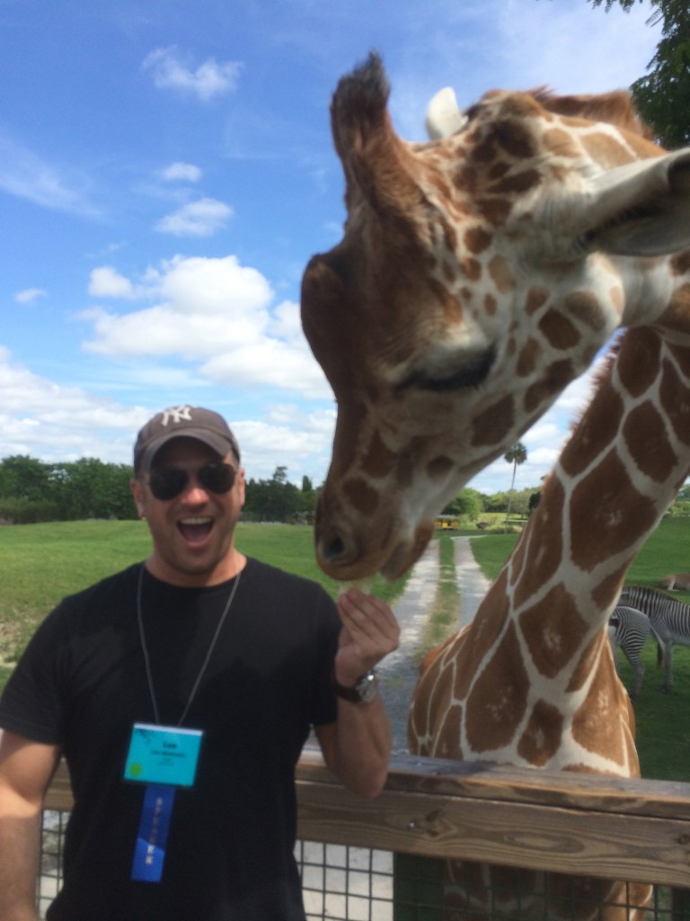 Lee Abbamonte, Busch Gardens, Tampa, giraffe