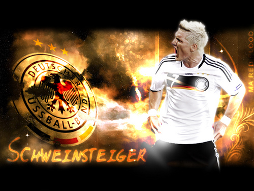 schweinsteiger-wallp_58857.bmp