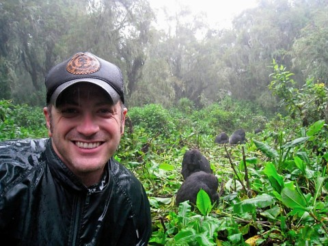 gorillas-and-wet-me.bmp