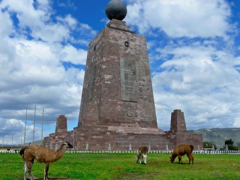 ecuador-llamas-at-mitad.bmp