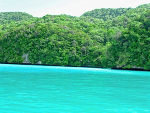 palau-rock-islands.bmp