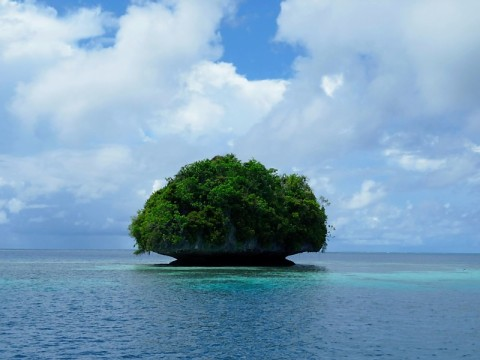 palau-small-rock-island.bmp
