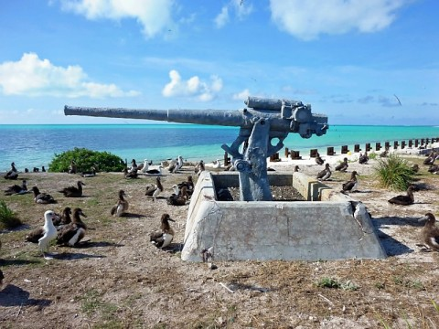 midway-eastern-island-gun.bmp
