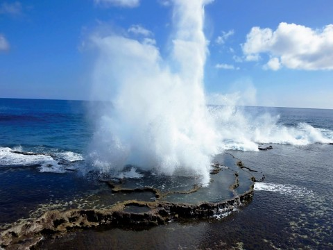 tonga-blowhole.bmp