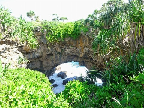 tonga-coral-bridge.bmp