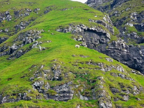 faroes-hillside.bmp