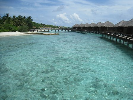 maldives-above-water-bungalows.bmp